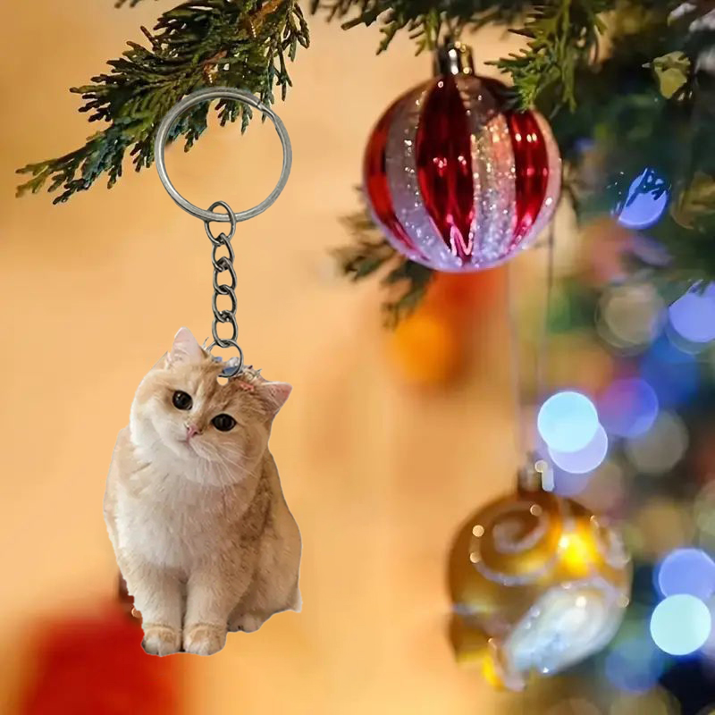 Siyah Ve Beyaz Kedi Anahtarlık - Resin Art Ring Design incelemesi ve fiyatı